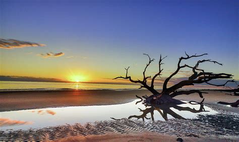 Driftwood Beach sunrise 7 Photograph by Kenny Nobles - Fine Art America