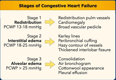 What Are The End Stages Of Congestive Heart Failure In Dogs