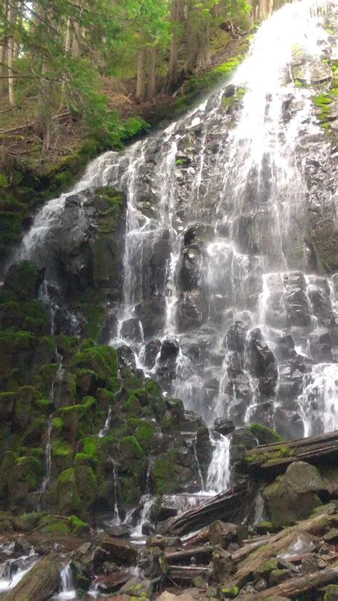 Beautiful Oregon Waterfall in Mt Hood National Forest [Video] | Oregon ...