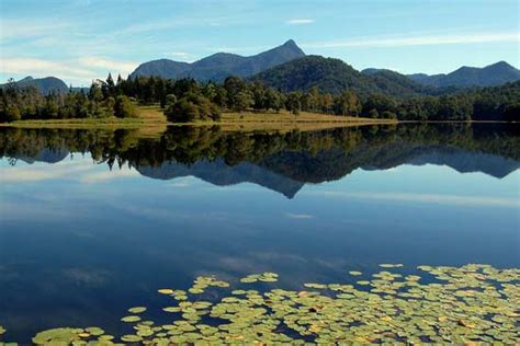 Mount Warning Sunrise Walk - Byron Bay Adventure Tours