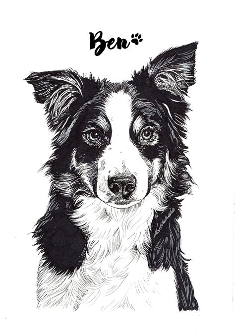 Pet Portrait Sketch Dog Drawing Custom Dog Sketch Custom - Etsy | Dog ...