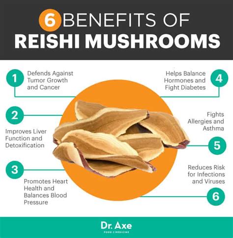 Reishi Mushroom Fights Cancer & Improves Liver Detox