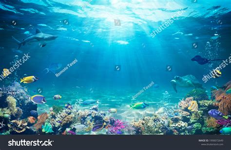 Indian Abyss Photos and Images & Pictures | Shutterstock