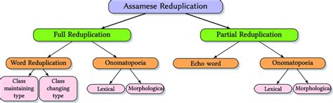 Types of Assamese reduplication [Dattamajumdar 1999]. | Download ...