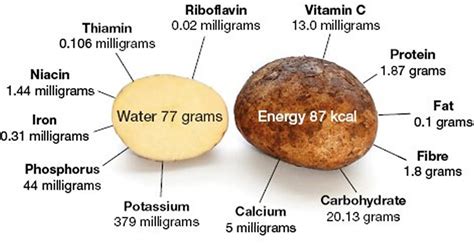 Potato Nutrition Facts - Calories, Fiber, Fat, Carbs and Protein