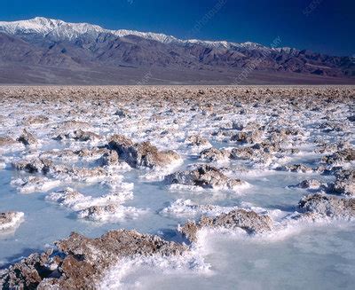 Death Valley Salt Flats - Stock Image - C001/6803 - Science Photo Library