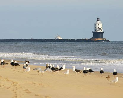 Delaware Beaches - Delaware Beach Vacations