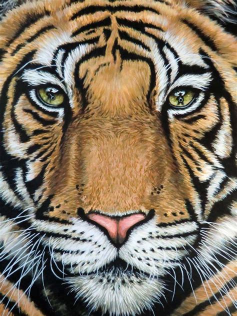 Por Amor al Arte: Hermosos y realistas dibujos de animales de todo el mundo