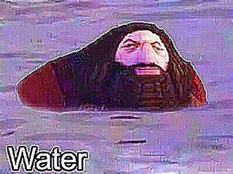 water | Haggord / "You Dun It Nao Arry Porrer" | Know Your Meme