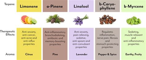 Terpenes what are they, and how can they help my Medical Cannabis ...