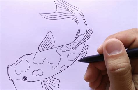 Sketsa Gambar Ikan Koi - IMAGESEE