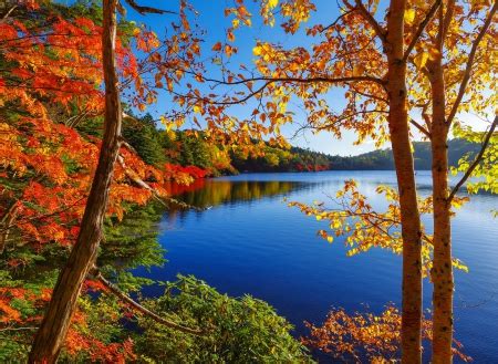 Autumn lake - Lakes & Nature Background Wallpapers on Desktop Nexus ...