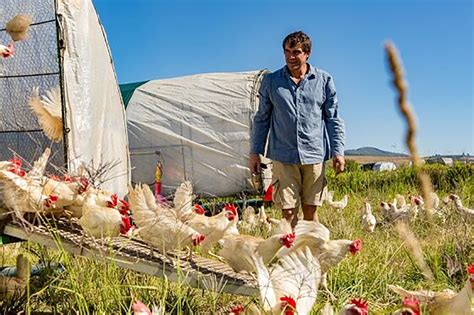 Poultry World Pick of the Year 2020: Farm reports - Poultry World