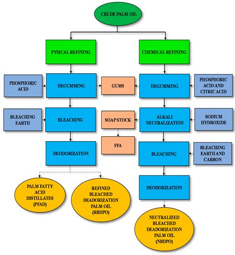 Processes | Free Full-Text | A Graph-Based Dynamic Modeling for Palm ...