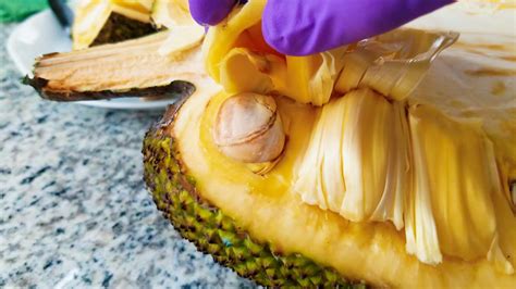 How to Cut Jackfruit & Indian Chutney Recipe - The Fermentation Adventure