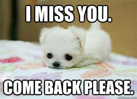 100 of the Best I Miss You Memes To Send To Your Bae | Inspirationfeed