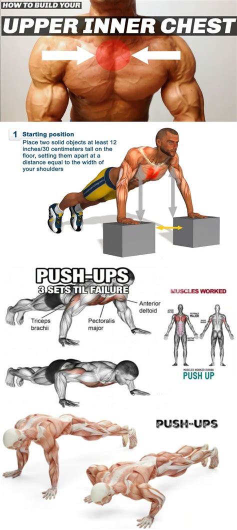 24++ Push up variations and muscle groups beginner | perfectabsworkout