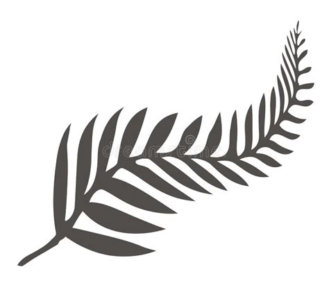 Silver Fern Rests Stock Illustrations – 637 Silver Fern Rests Stock ...