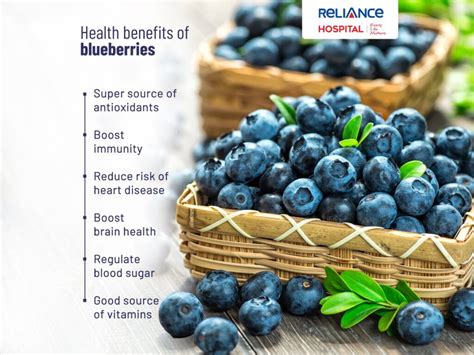 The Bountiful Health Benefits of Blueberries - Health Revolution Hub