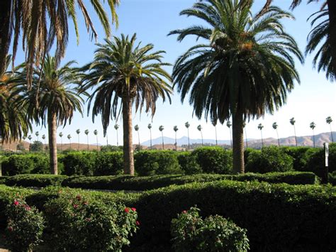 12 Terrific Things to Do in Riverside California