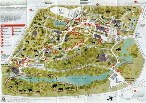 Printable Bronx Zoo Map - Printable Templates