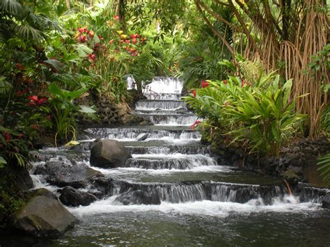 The hot springs at the Tabacon Spa and Resort in Costa Rica. Best ...