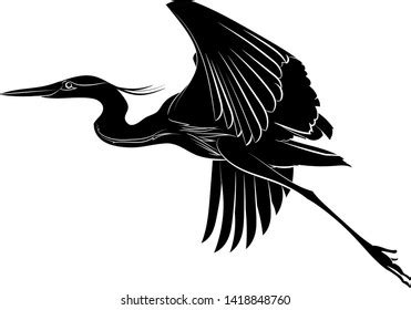 Heron Photos and Images | Shutterstock