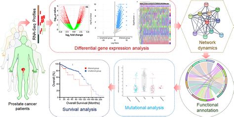 Frontiers | Differential Gene Expression and Weighted Correlation ...