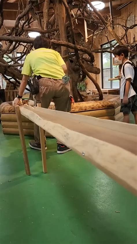 Guinea Pig Bridge at the Nagasaki Bio Park- Nagasaki, Japan : r/aww