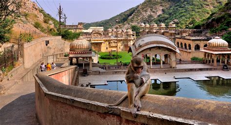 Galtaji Mandir Jaipur - History, Timings, Entry Fee, Darshan, Seva,Location