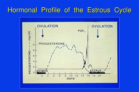 PPT - AVS 222 – Mare Reproductive Physiology and Management PowerPoint ...