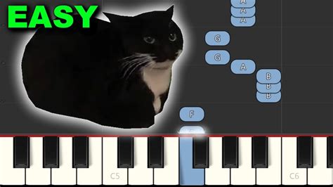 Maxwell The Spinning Cat Meme Song Chords - Chordify