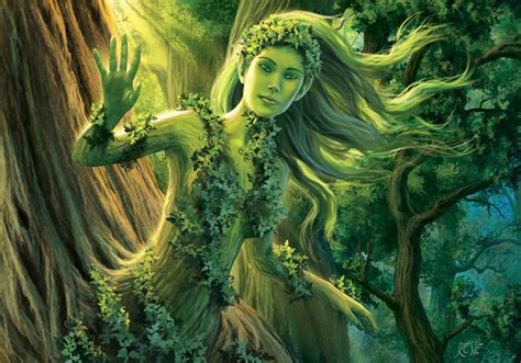 Dryad's Tree | Derek Fiechter