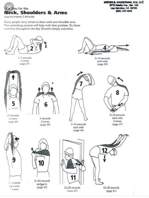 Neck shoulder stretches | Shoulder stretches, Stretching exercises ...