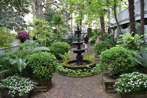 The Best Parks and Gardens in Savannah, Georgia - Discover Walks Blog