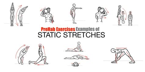 PreHab Exercises - Examples of Static Stretching - Static Stretches for ...