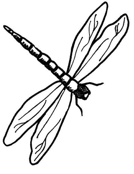 Dragonfly Outline - ClipArt Best