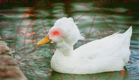 Scientists Announce Plan to Resurrect Afroduck – The Sundial Humor Magazine