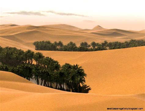 Arabian Desert Oasis | Wallpapers Gallery