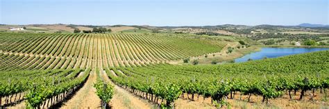 Alentejo wine tour with wine pairing lunch | Audley Travel