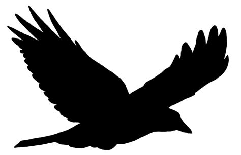 Flying Crow PNG Black And White Transparent Flying Crow Black And White ...