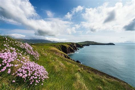 Dingle Bay - Wild Atlantic Way