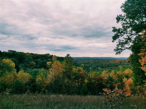 Green Trees Under Cloudy Sky · Free Stock Photo