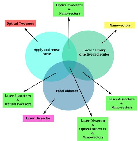 Optical manipulation techniques and their interdependencies for ...