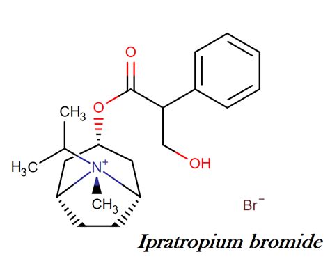 Ipratropium bromide : Drug class, uses, mechanism of action, dosage ...