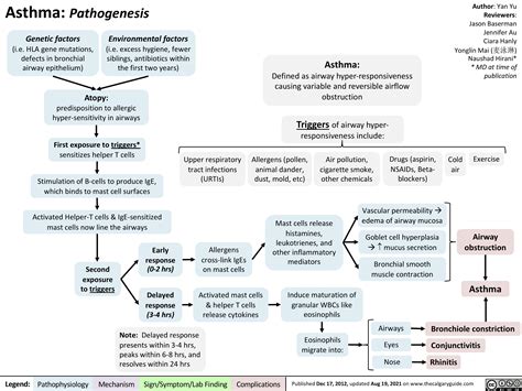 Asthma: Pathogenesis | Calgary Guide