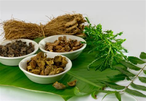 Why choose Dindayal Aushadhi Ayurvedic Wellness Products Online