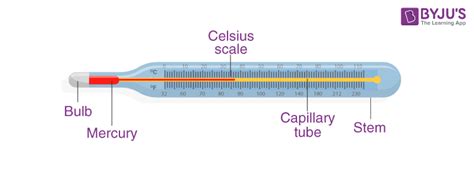 Clinical Thermometer Diagram