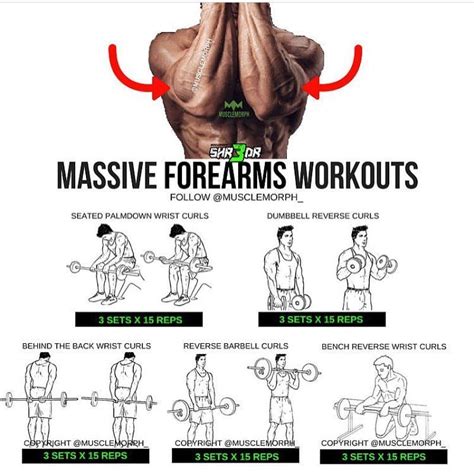 Want MASSIVE Forearms? Try this workout 👆🏻SAVE it so you can use it at ...