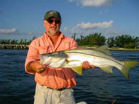 Snook Fishing Season Insider Tips